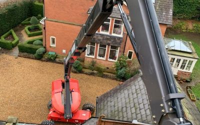 Tree Surgeon Plumley