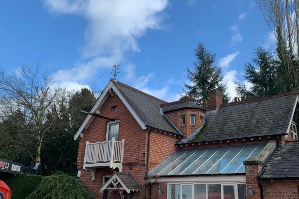 Tree Services Plumley