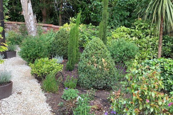 Landscape Design Cheshire