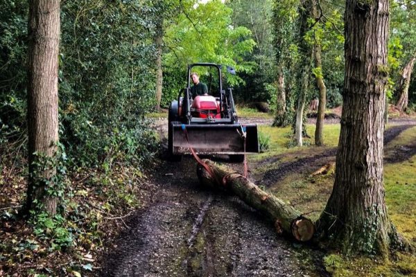 Tree Surgeons Knutsford