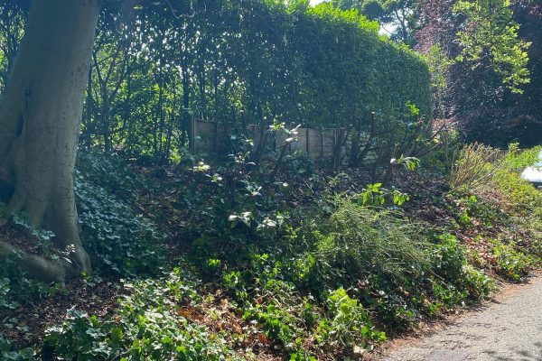 Garden Maintenance in Knutsford