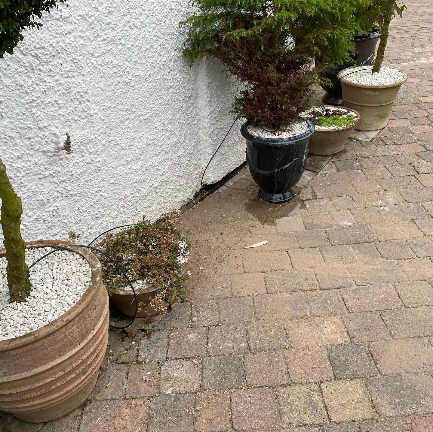 Estate Management in Cheshire