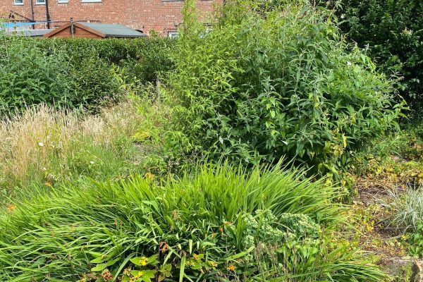 Landscape Design Knutsford