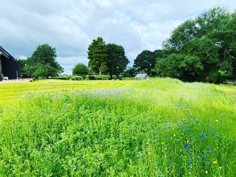 Garden Designers Knutsford