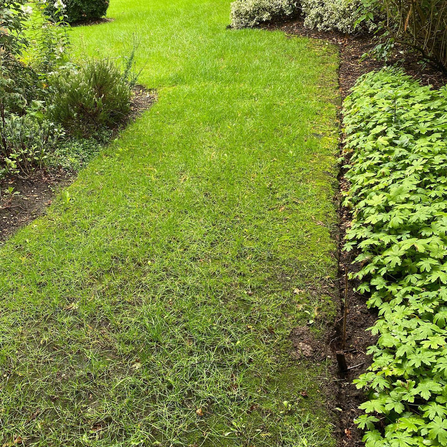 Landscapers Goostrey