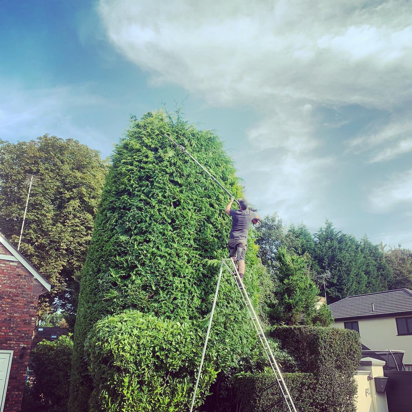 Gardener Macclesfield