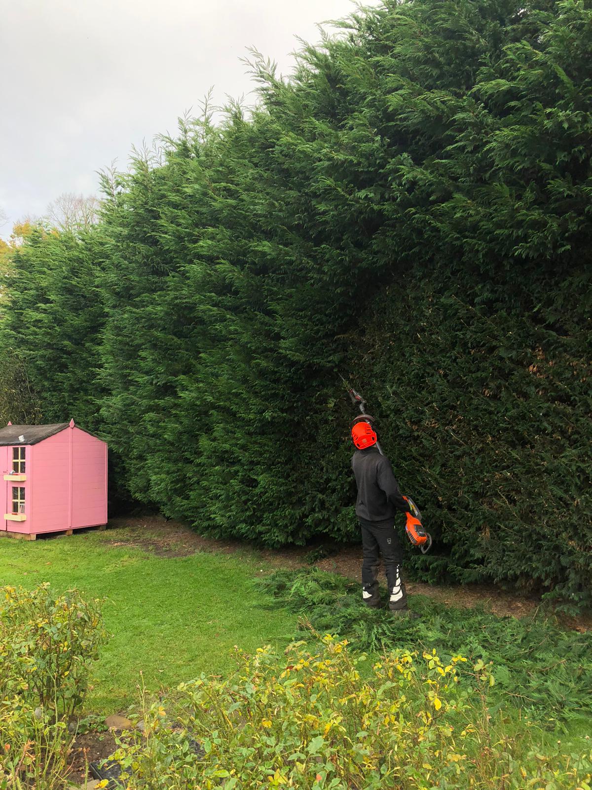 Tree Surgeon in Byley