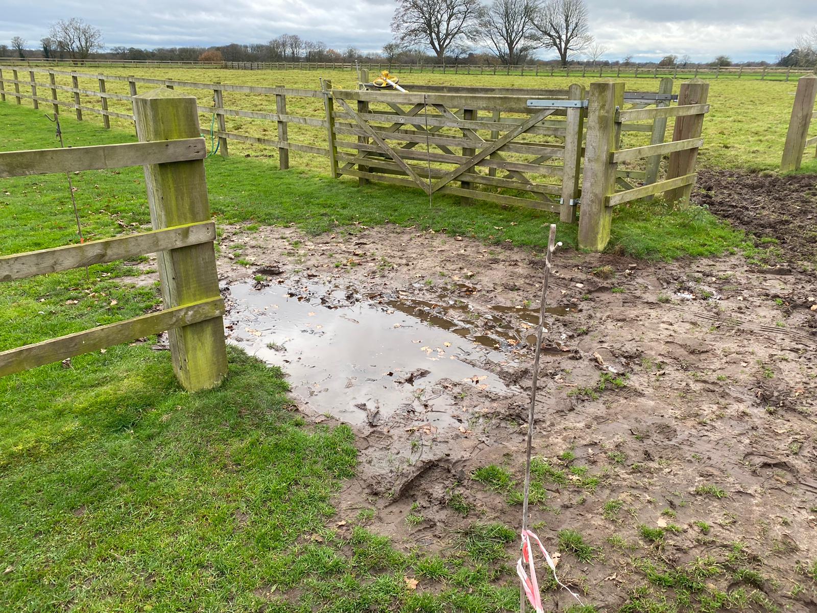 Paddock Preparation Swettenham