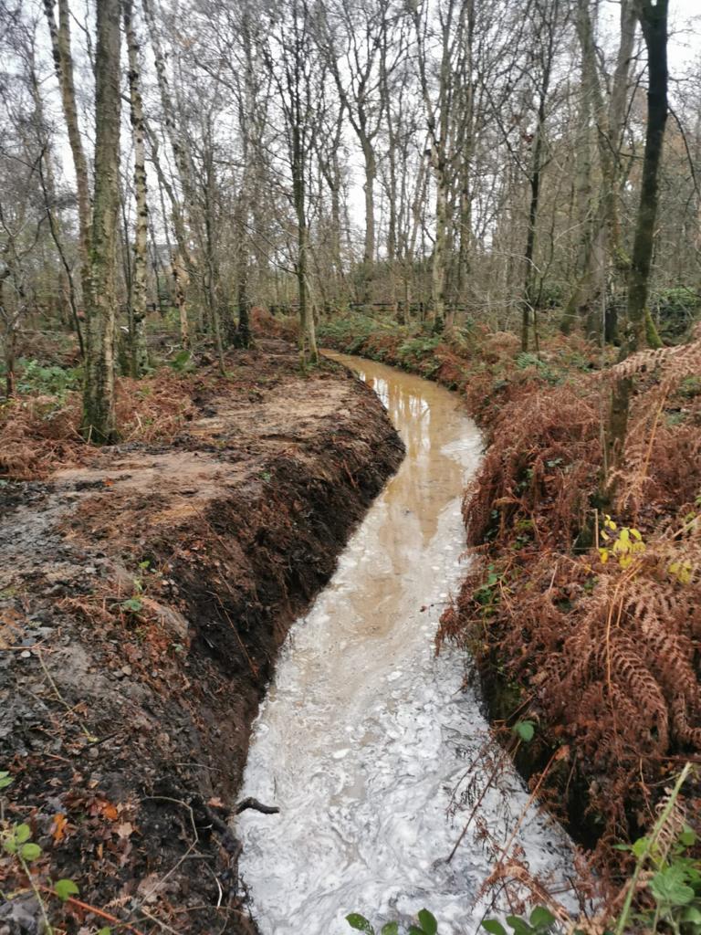 Estate Maintenance Chelford