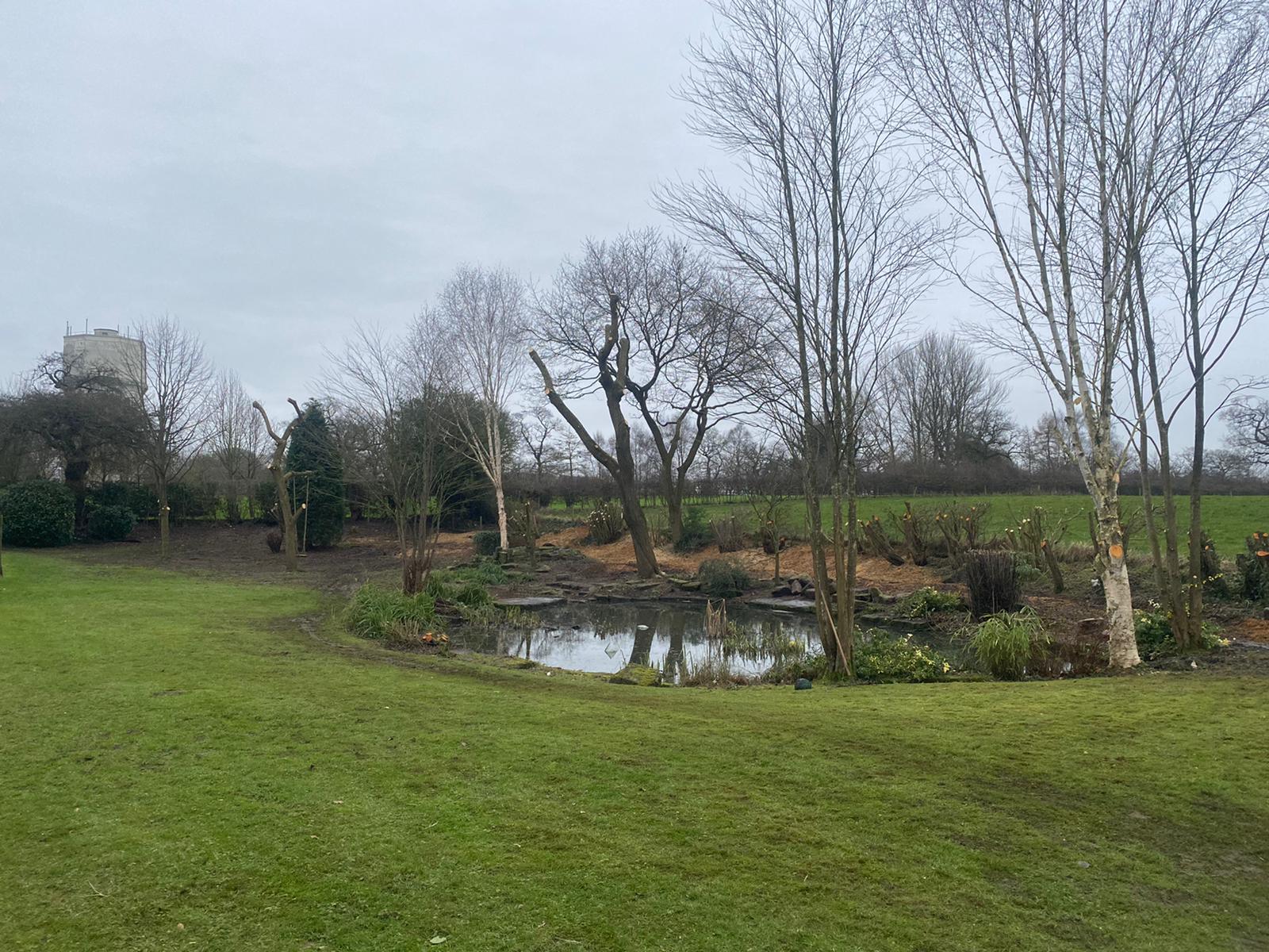 Tree Works Knutsford