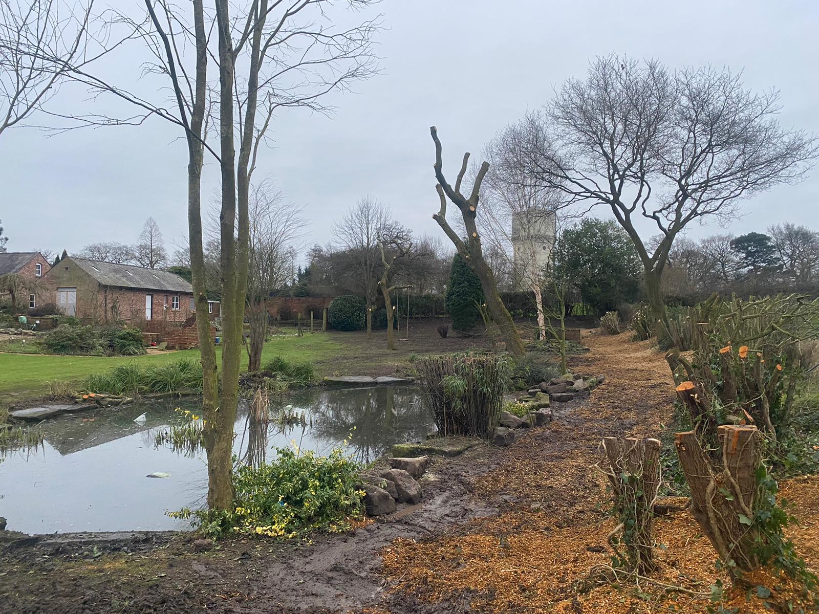 Tree Services Knutsford