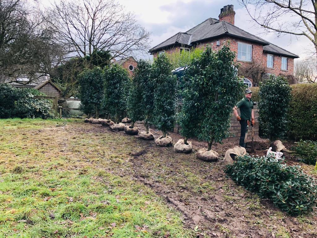 Landscapers in Chelford