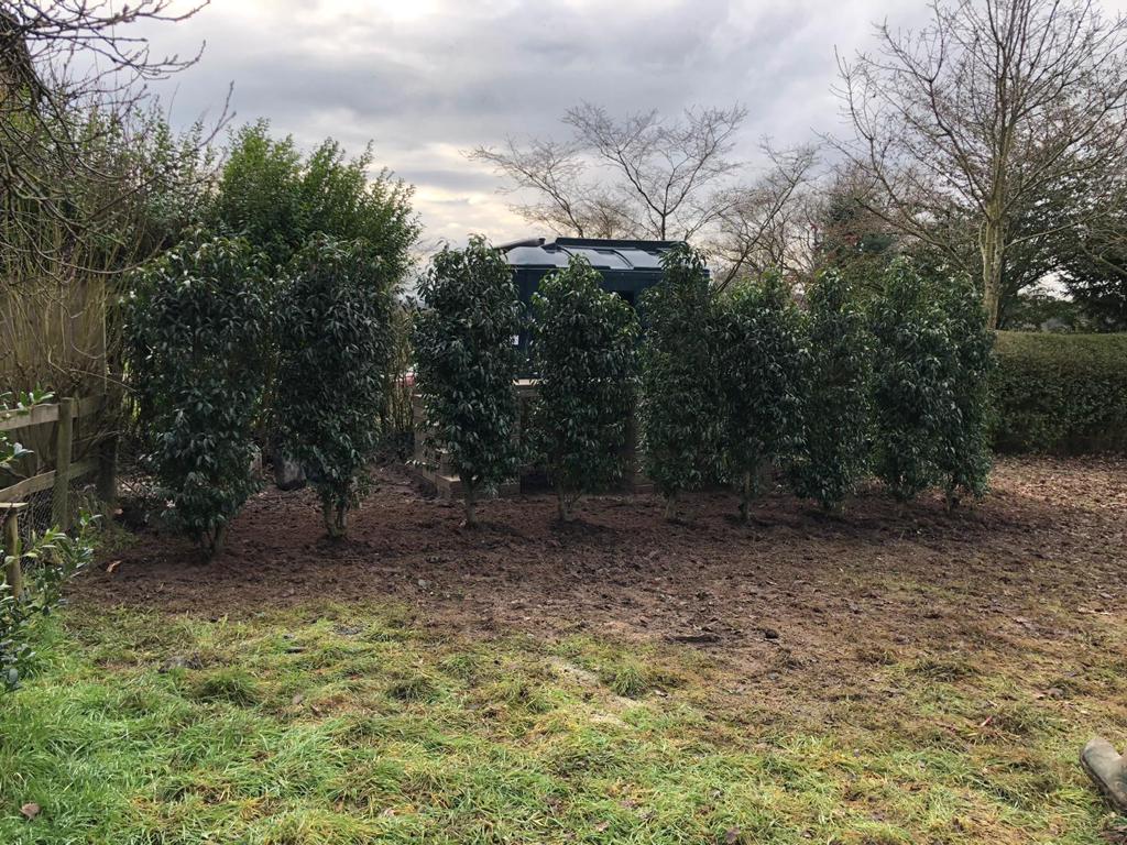 Gardeners in Chelford