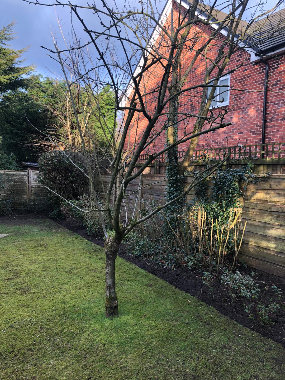 Garden Maintenance in Goostrey