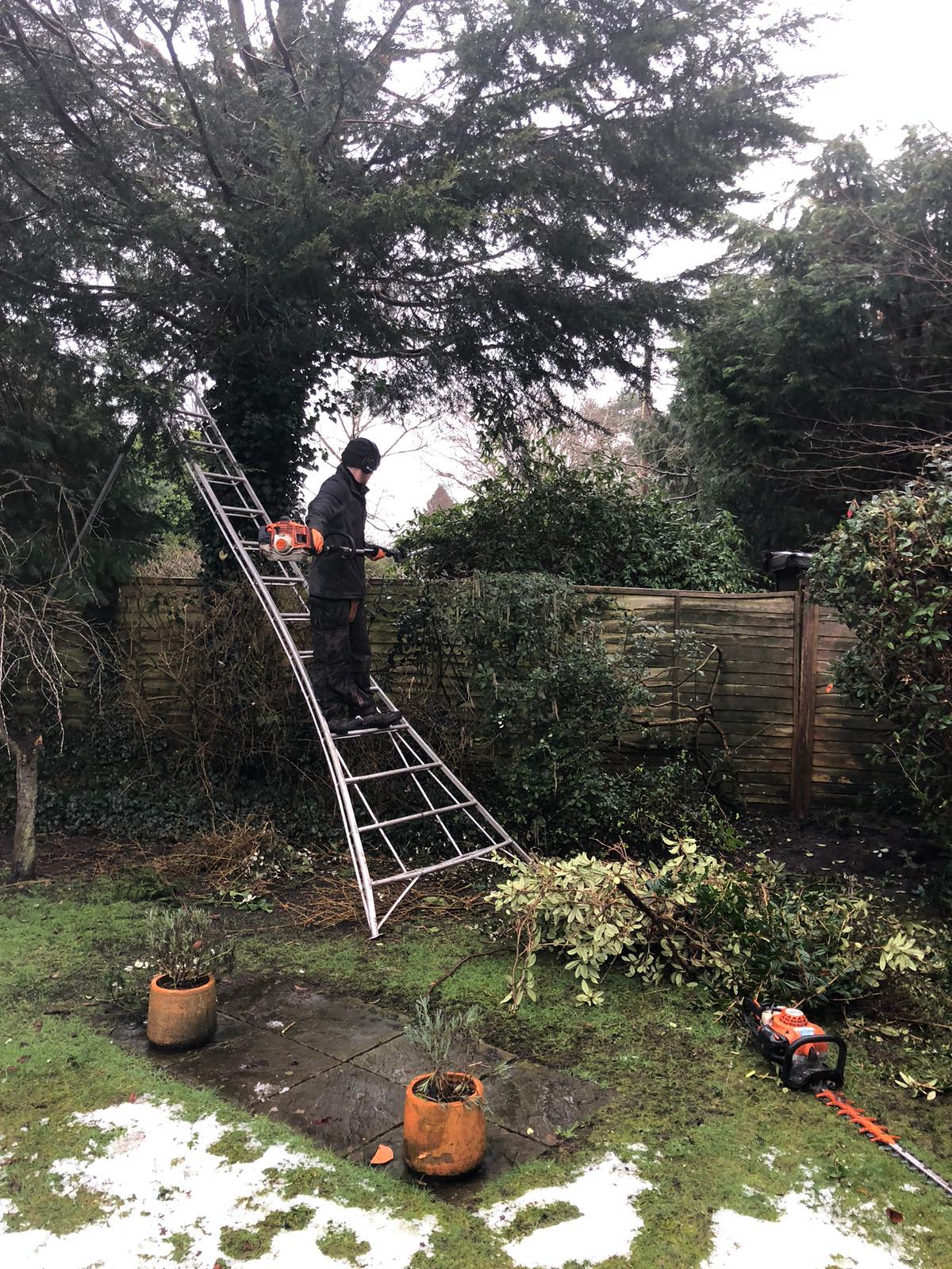 Gardeners in Goostrey