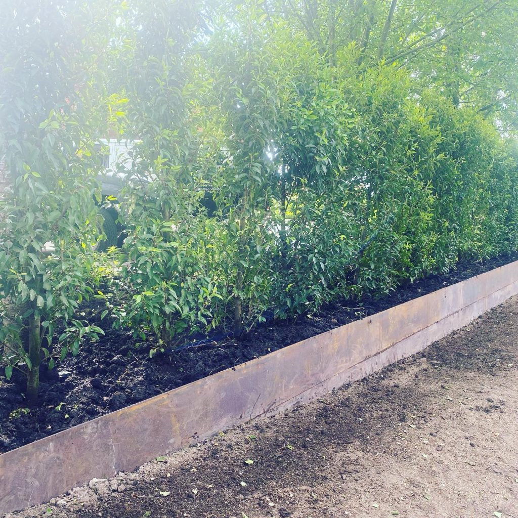 Landscape Designer Swettenham