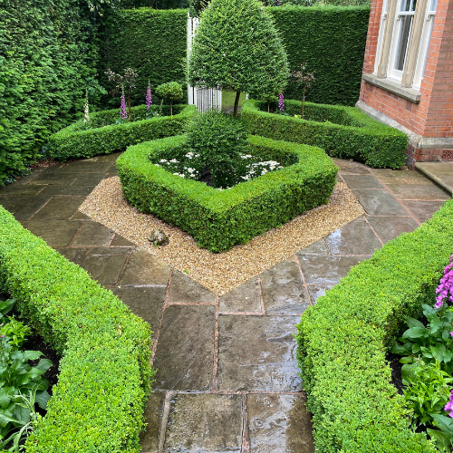 Untitled design (13) Garden Maintenance