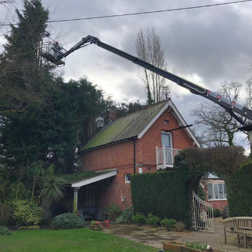 Untitled design (15)