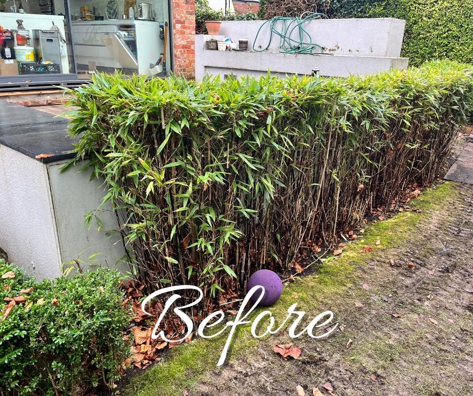 Landscape Design Hale