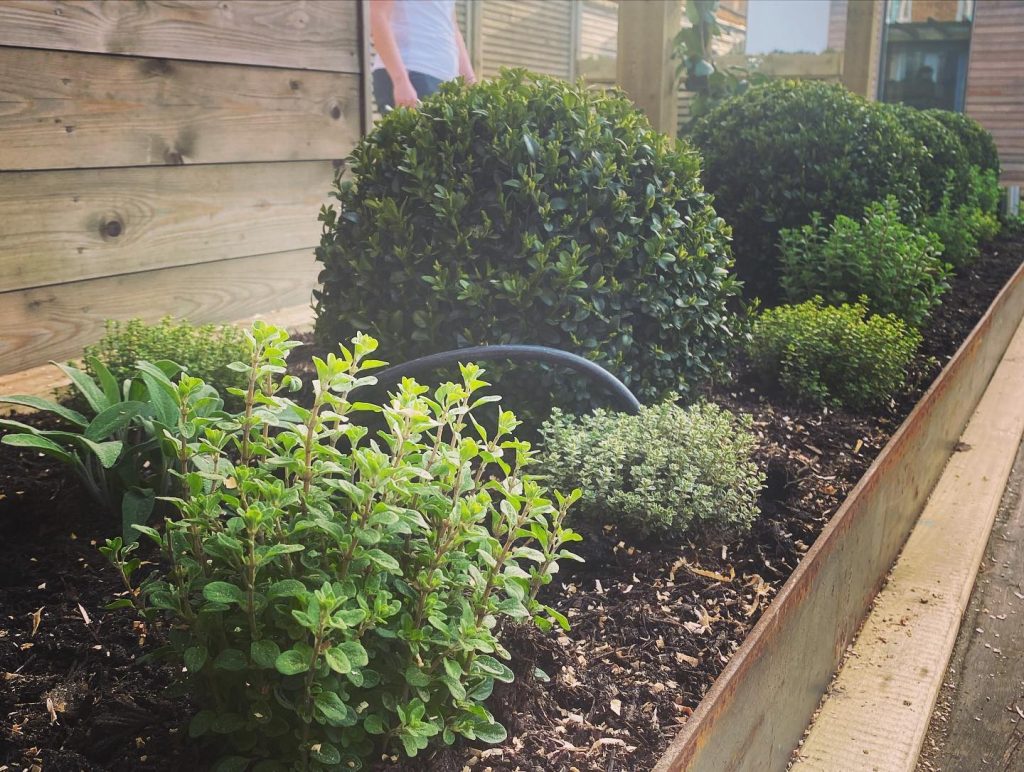 Landscape Design Near Me