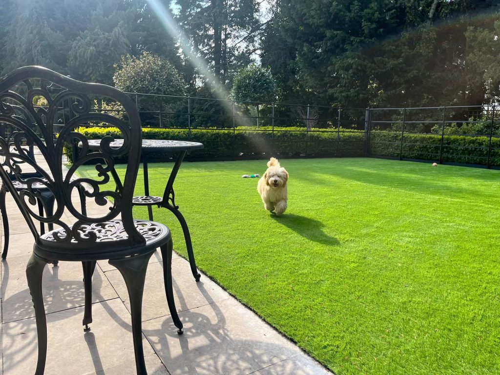 Landscape Designer Near Me