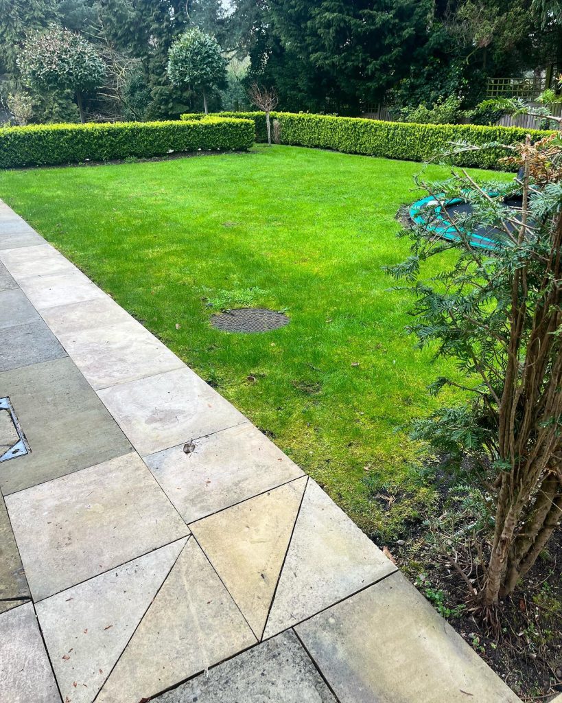 Garden Design Near Me