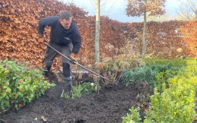 Garden Maintenance Alderley Edge