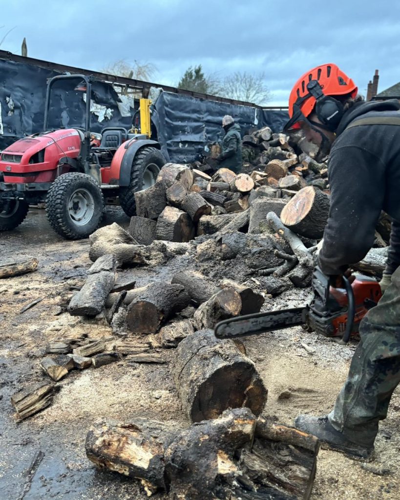 Tree Surgeon Knutsford
