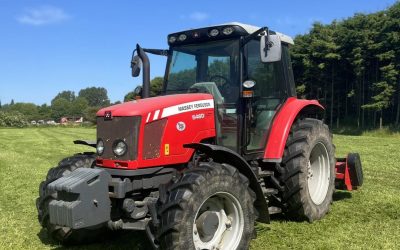 Paddock Maintenance Knutsford