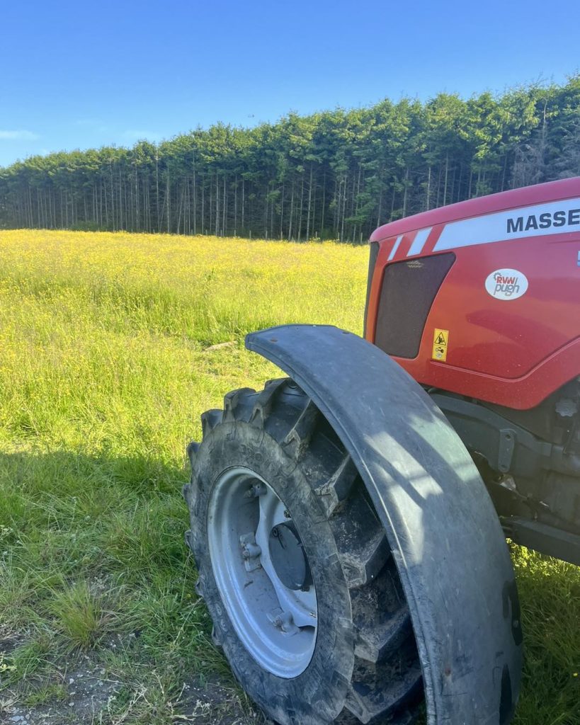 Paddock Maintenance Knutsford