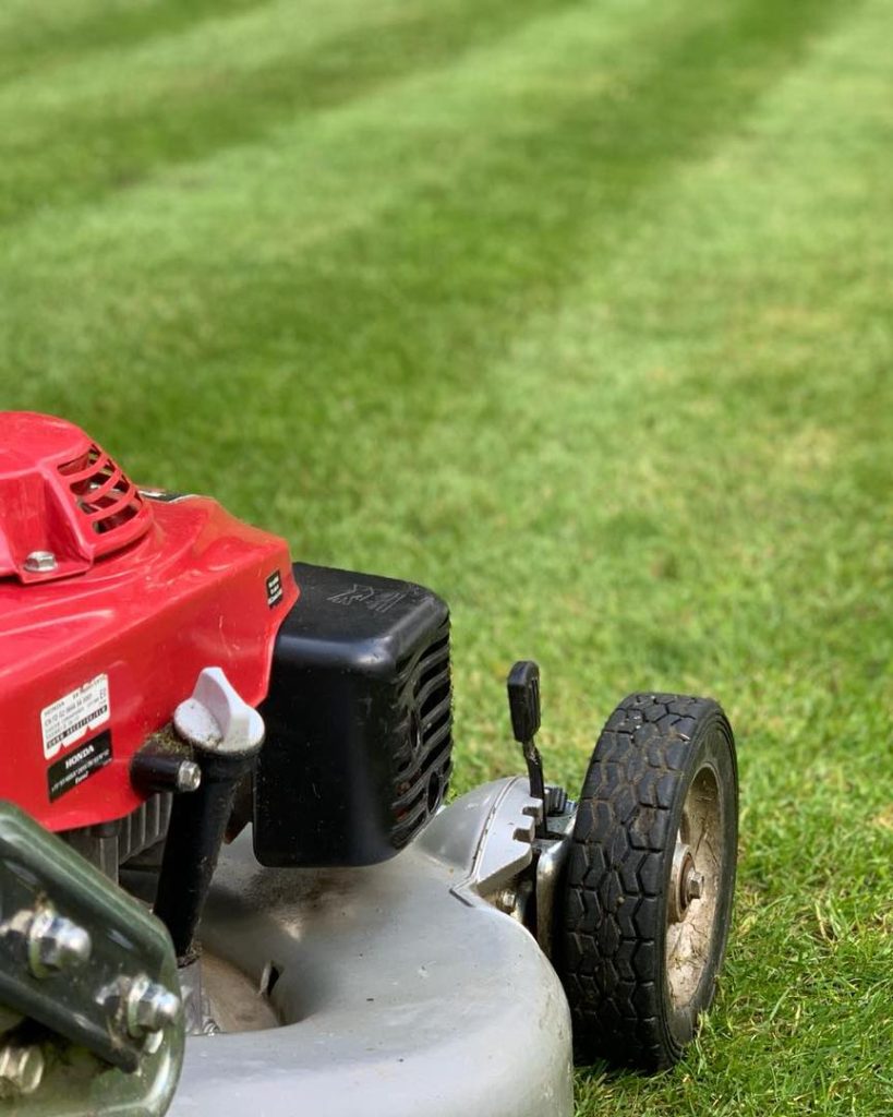 Garden Maintenance Wilmslow
