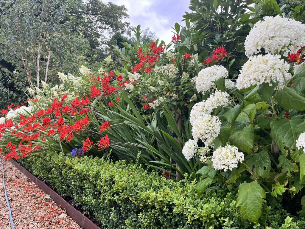 Garden Maintenance Cheshire