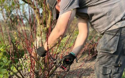 Garden Maintenance Wilmslow