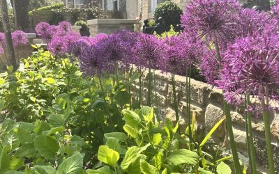 Garden Maintenance Altrincham