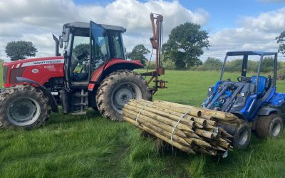 Fencing Alderley Edge