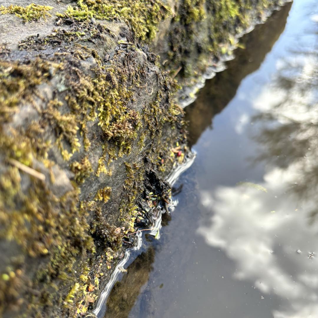 Garden Design Knutsford