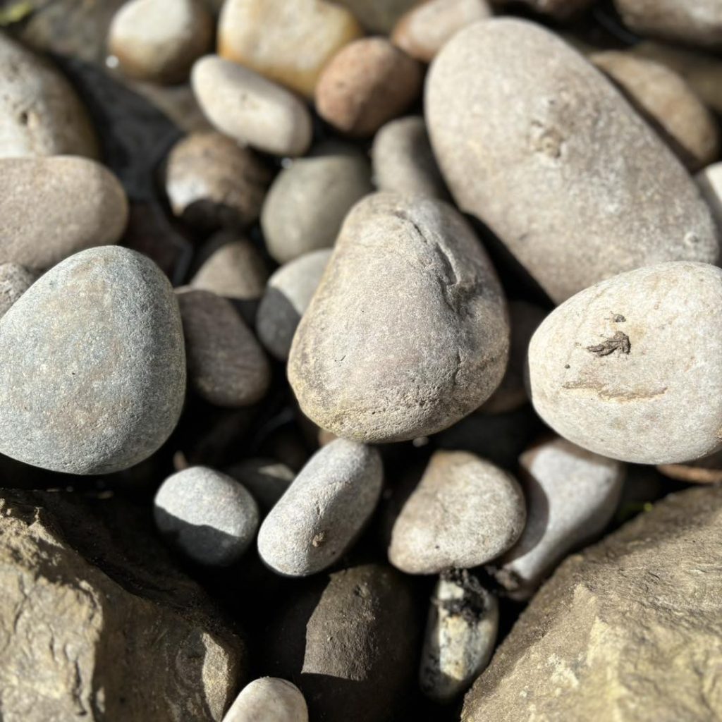 Garden Design Mobberley