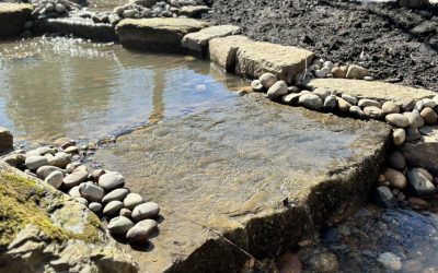 Garden Design Mobberley