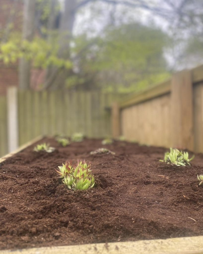 Landscape Design Altrincham
